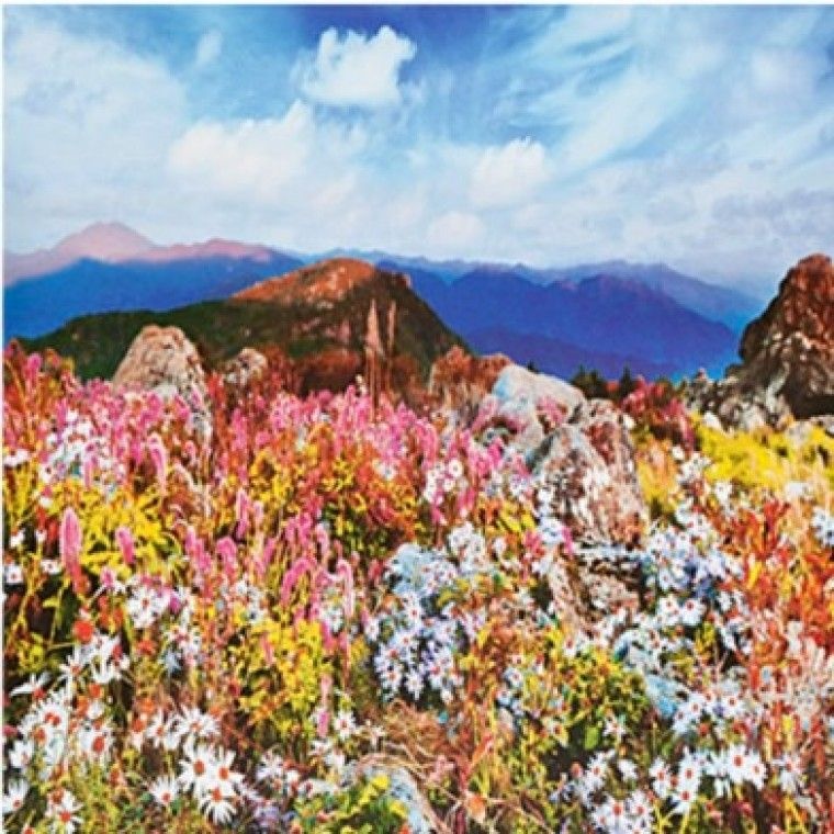 대주기획 2026년 대형 벽걸이 달력 고급풍경백두 선물