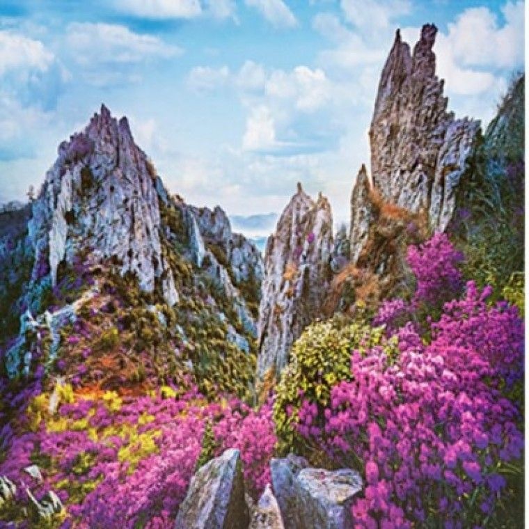 대주기획 2026년 대형 벽걸이 달력 압도적인 퀄리티 한국백두대간