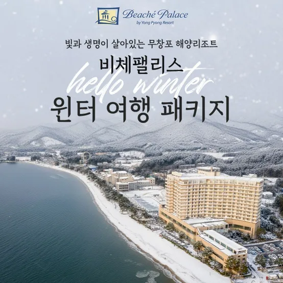 보령 비체팰리스 윈터 여행 패키지, 객실+치맥세트+개화예술공원or석탄박물관, ~26년3월31일