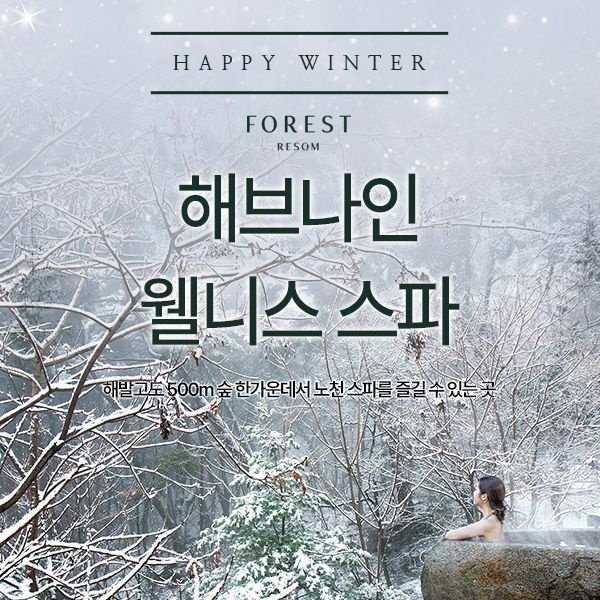 포레스트 리솜 해브나인 스파 제천 포레스트 리솜 해브나인 스파 (12/20~3/2)