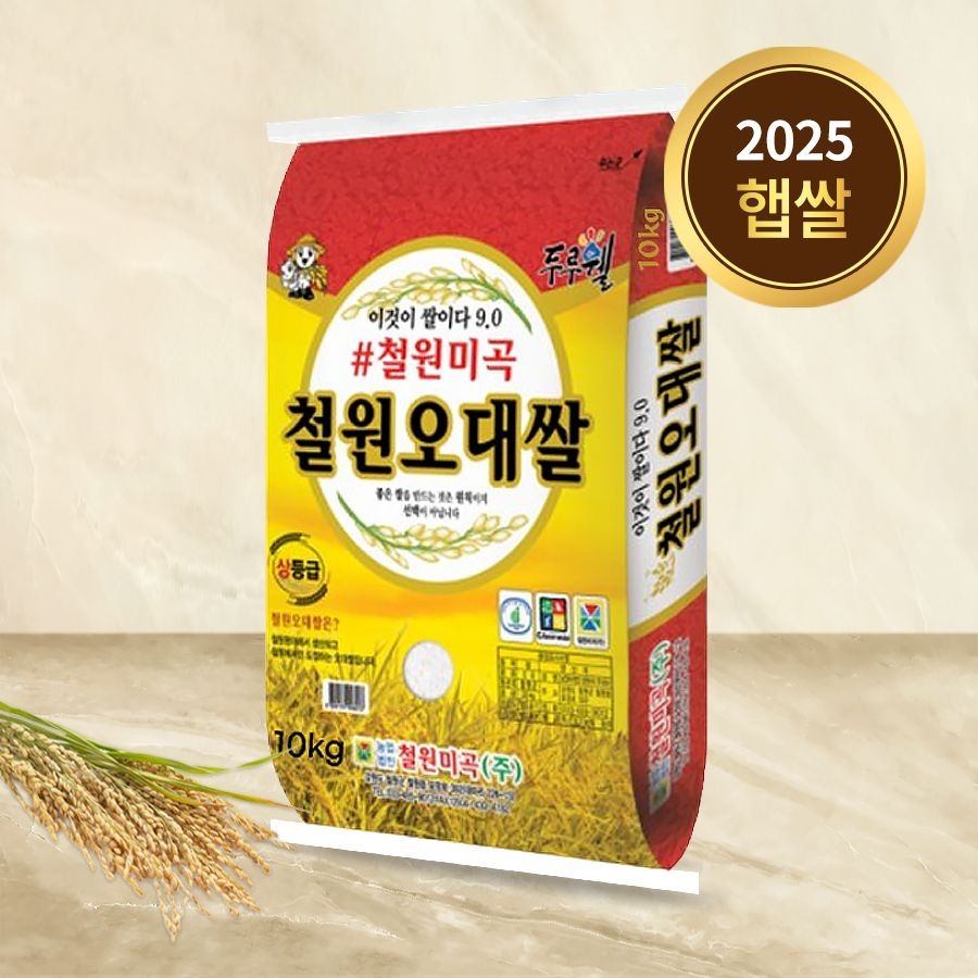철원오대쌀 10kg 백미 상등급 25년 : 롯데ON