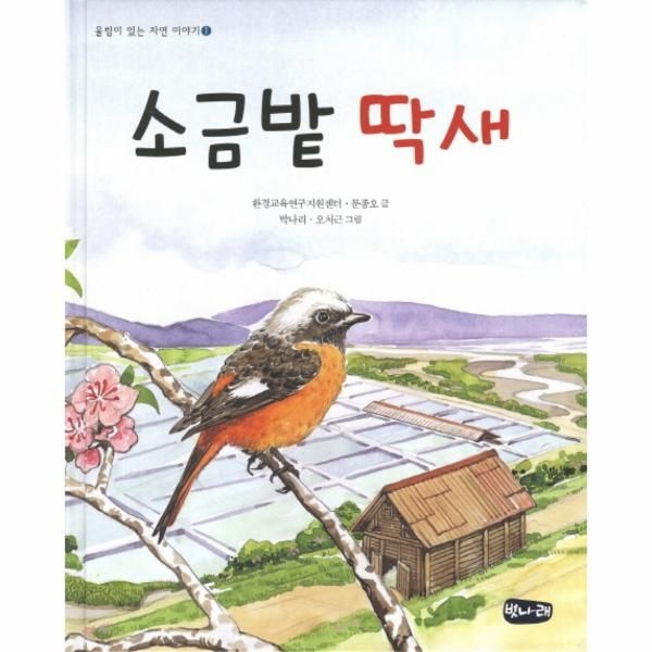 웅진북센 [보리보리]소금밭 딱새