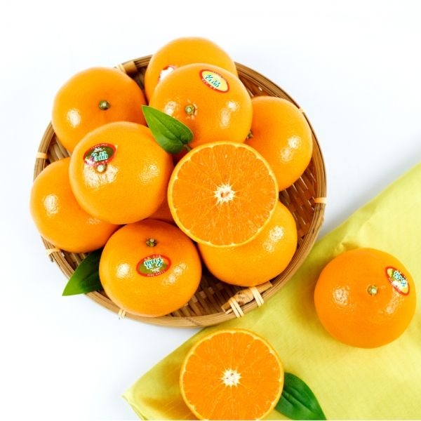 [온누리상품 상생페이백] [산지급송] 오렌지 빛깔의 유혹 고당도 천혜향 [가정용] 2kg/3kg/5kg/10kg