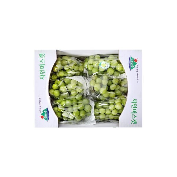 샤인머스켓(6수) 4kg