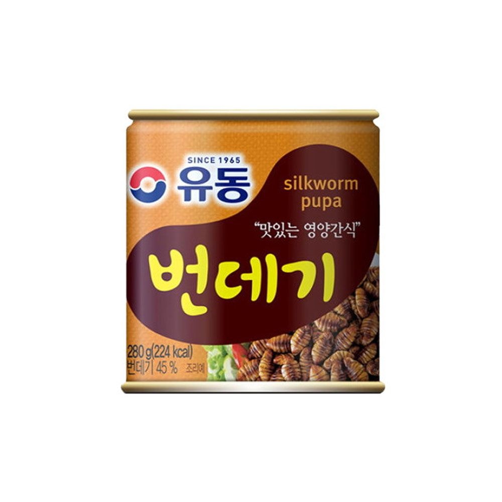 유동 번데기 통조림 280g x 24개