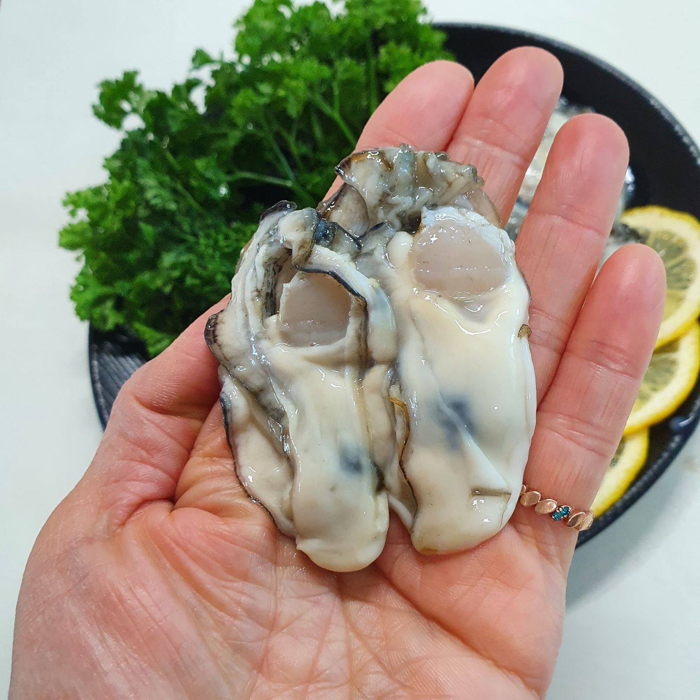 통영 최상급 생굴2kg