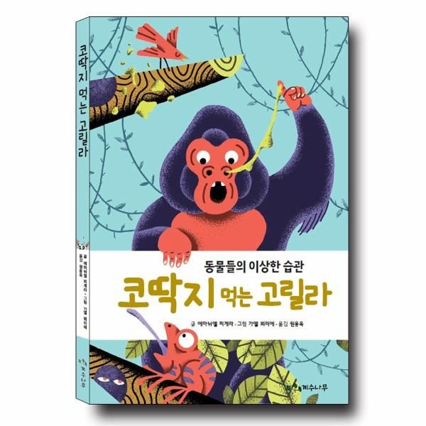 [보리보리]코딱지 먹는 고릴라