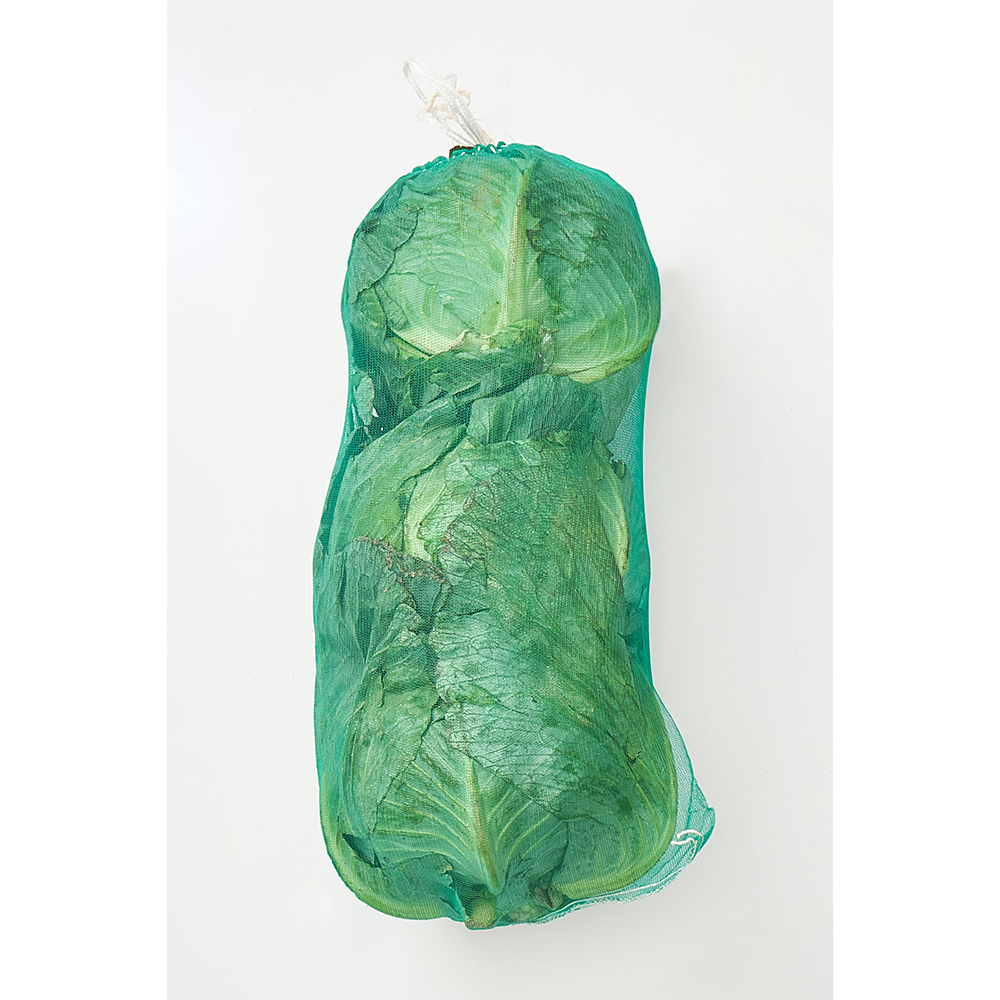 전국식탁 국내산 양배추 42망 비손질 특상품 햇 낱개 다이어트 간식 2통