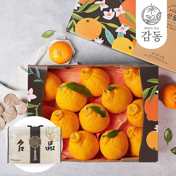 [감동][부직포가방포장]제주 한라봉 2.6kg 12-14과 과일선물세트 : 롯데ON