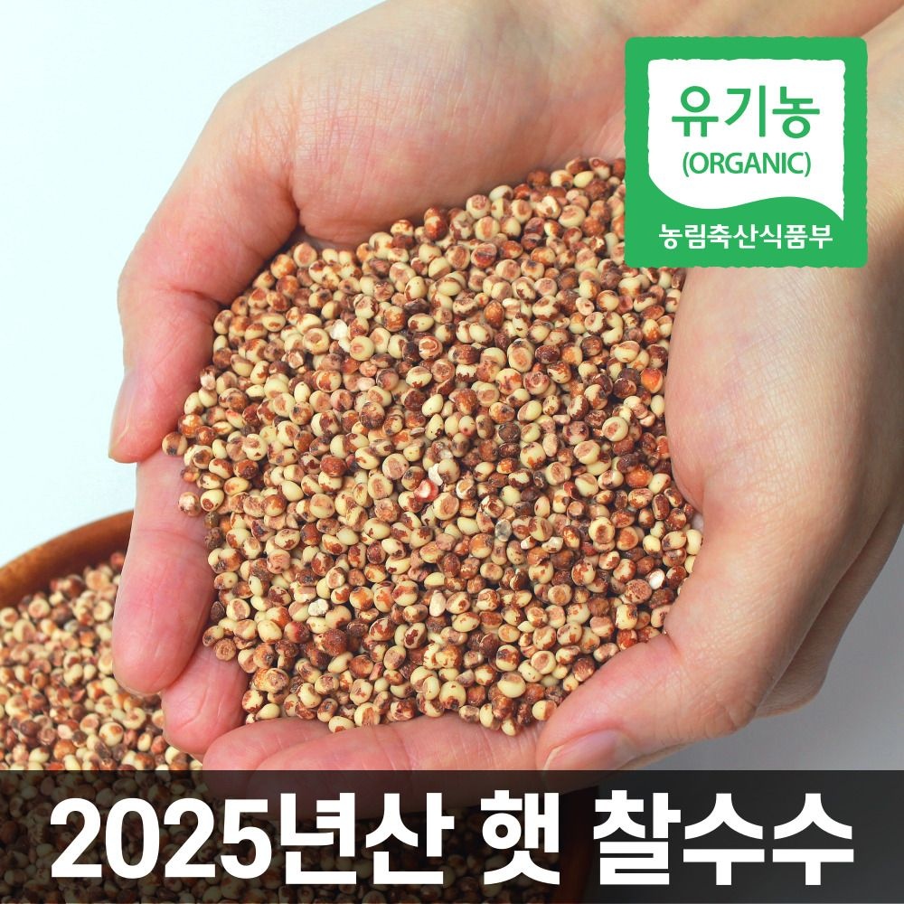 [파인드네이처]국산 유기농 찰수수 1kg 25년산 햇 잡곡 국내산 무농약 재배 차수수 수수밥 좁쌀 오곡밥 : 롯데ON