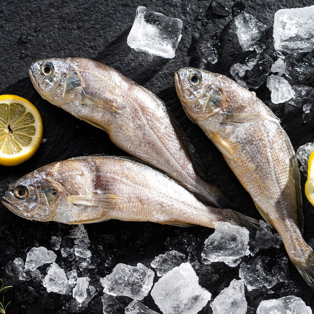 HACCP인증 영광 법성포 굴비 오가 10마리 프리미엄굴비 선물용 명절설물세트