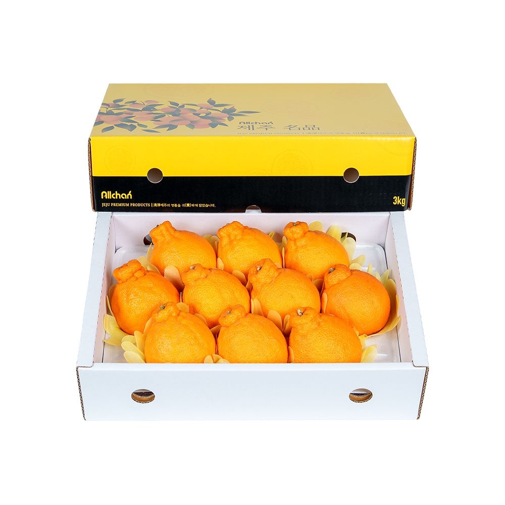 [삼다몰]제주 한라봉 선물세트 3kg 5kg 10kg : 롯데ON