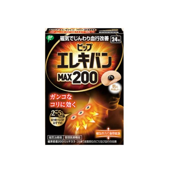 진짜 일본 에레키반 자석파스