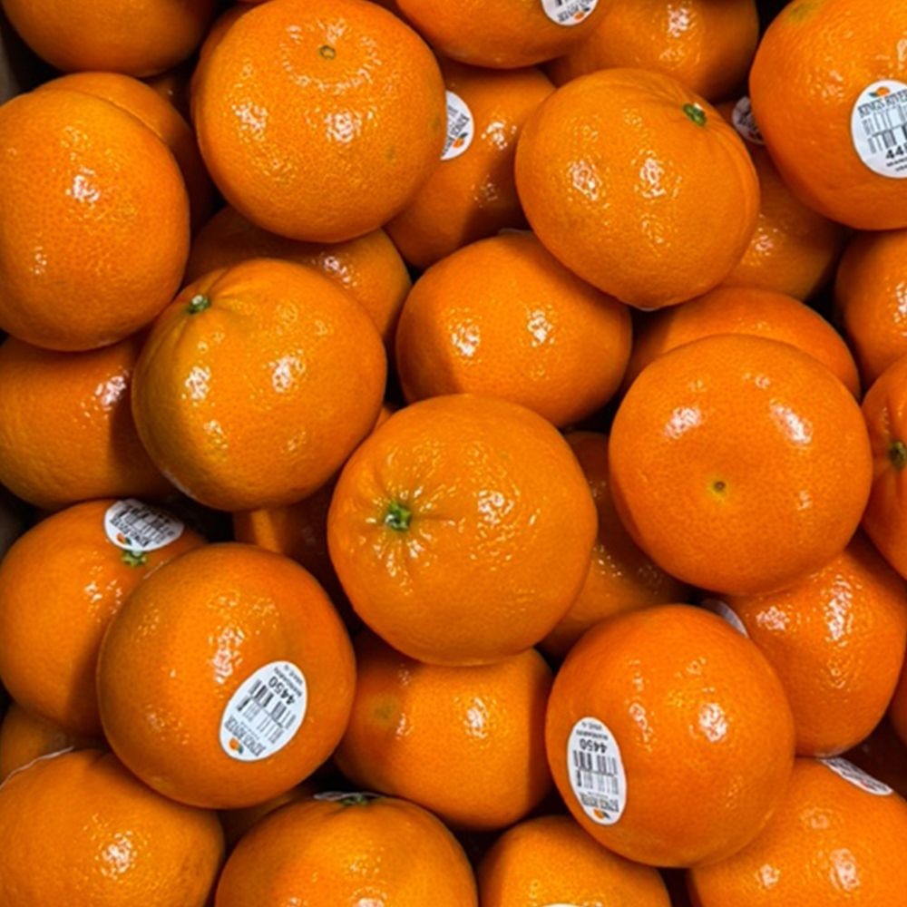 미국산 수분가득 상큼한 만다린 귤