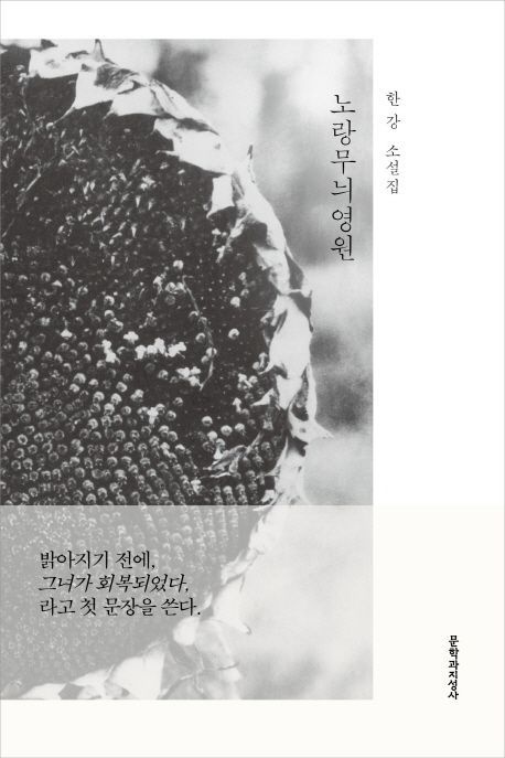 [온누리상품] 노랑무늬영원 [한강소설집]