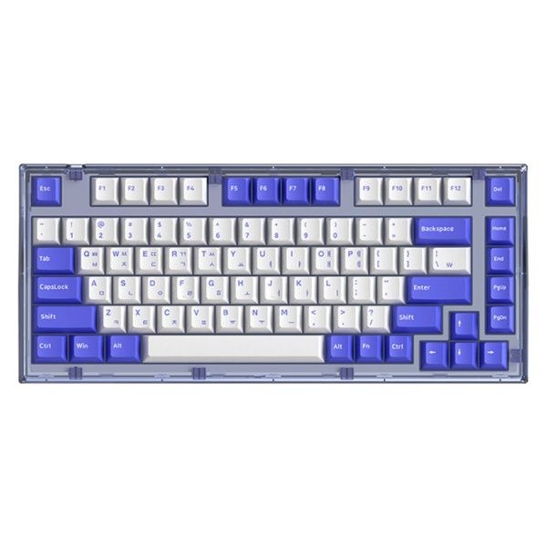 ABKO 유선 기계식 미니키보드, AG75 가스켓 마운트 RGB 축교환, 갈축 [퍼플블루/USB]