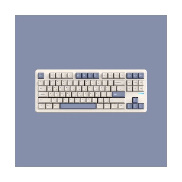 SPM 매장정품 SPM PL87W 몽돌 유무선 기계식 (베이지)