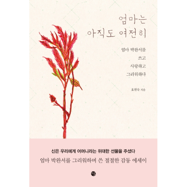 [보리보리]엄마는 아직도 여전히 엄마 박완서를 쓰고 사랑하고 그리워하다
