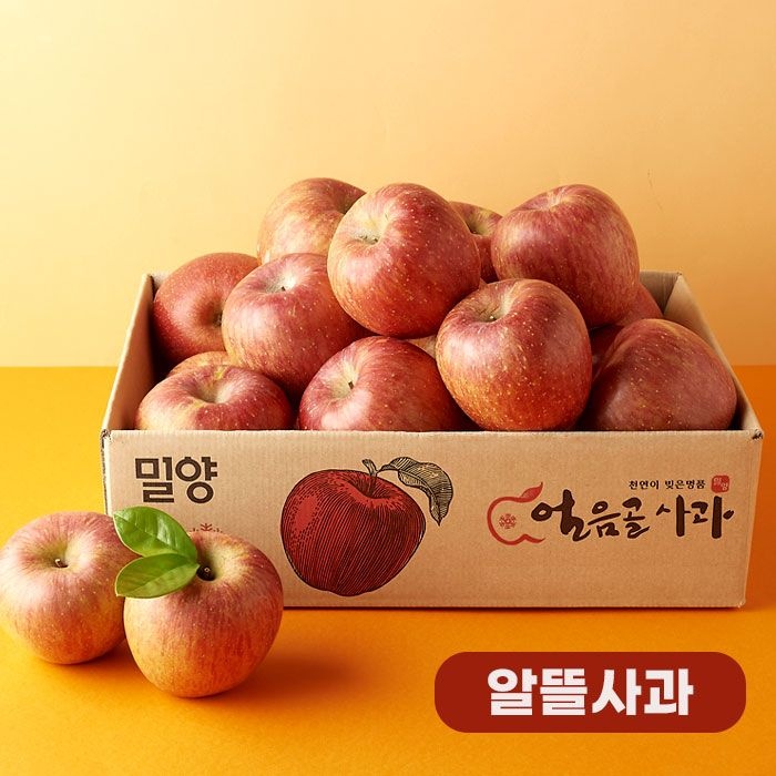 (현대Hmall) [작심밀도]산지직송 농협 밀양얼음골 알뜰사과 3kg(랜덤과) x 2박스