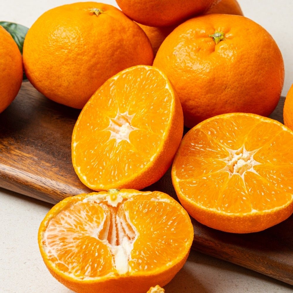 하우스 레드향 2kg