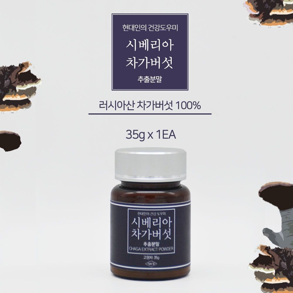 차가버섯분말 시베리아 차가 차기버섯 베타글루칸 35g