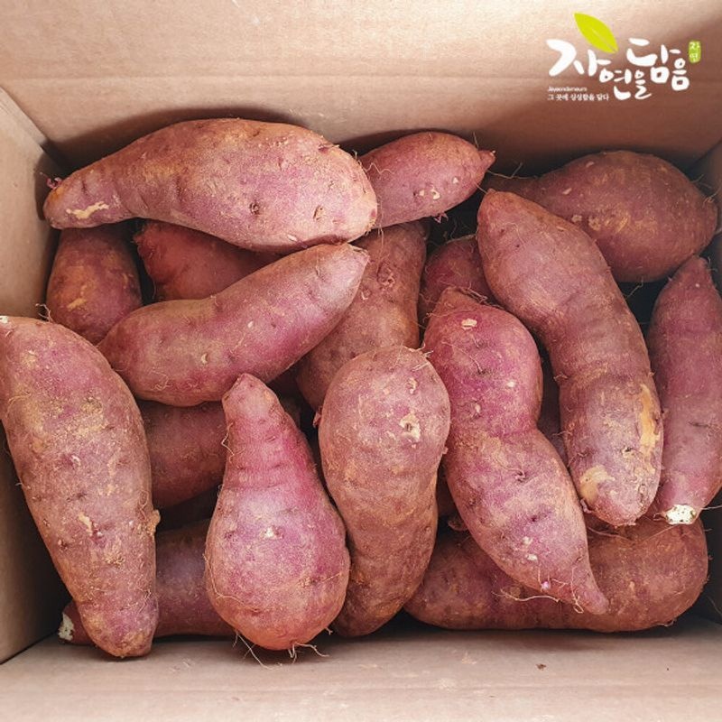 시온농산  자연을담음 황토 해남 꿀고구마(베니하루카) 대 5kg