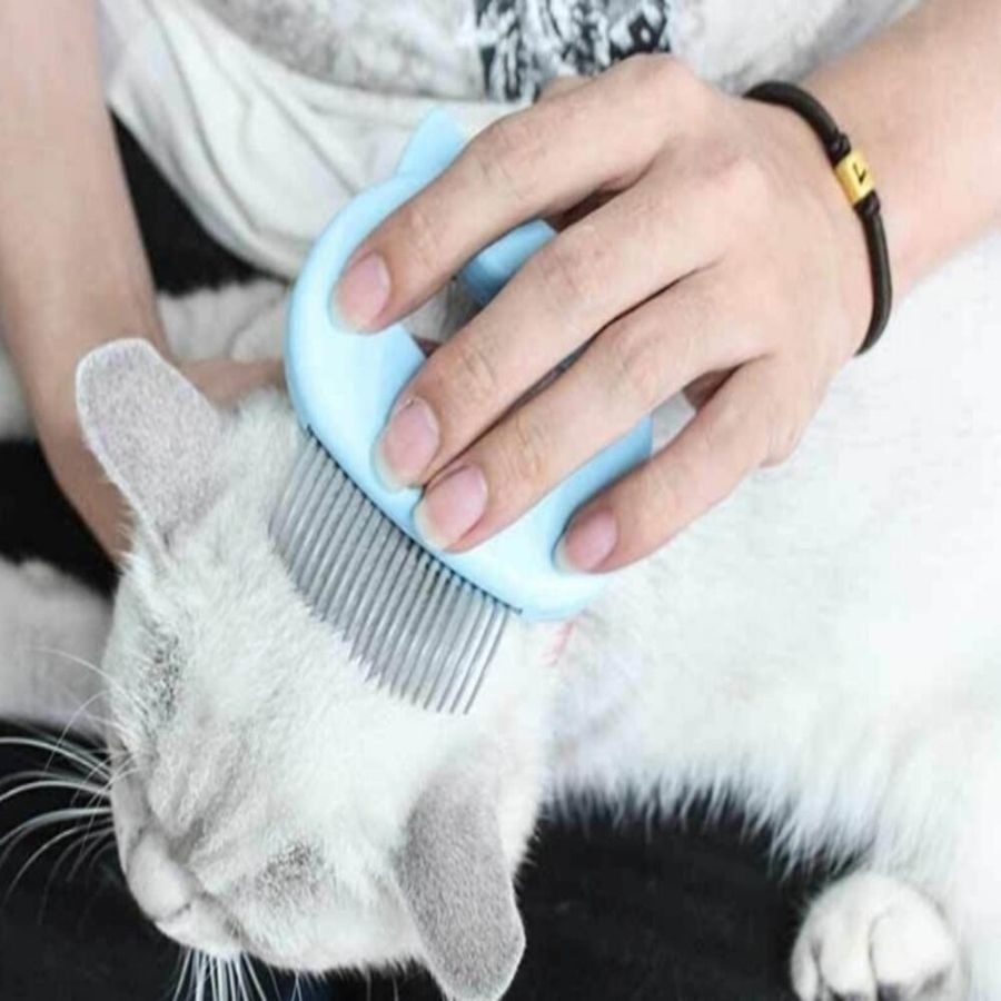 고양이 강아지 털갈이 엉킨털 죽은털 제거 빗 펫브러쉬 비숑 푸들 페르시안