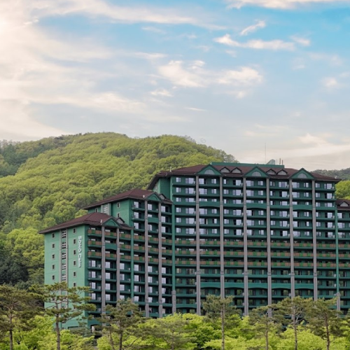 비발디파크 [★소노캄★]