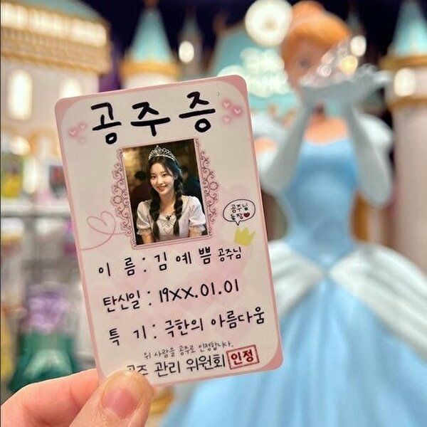 [셀러허브 1]공주증 만들기 커스텀 공주 친구 여친 여자친구 생일 선물 신박한 우정 쓸데없는 킹받는 쓸없선 ...