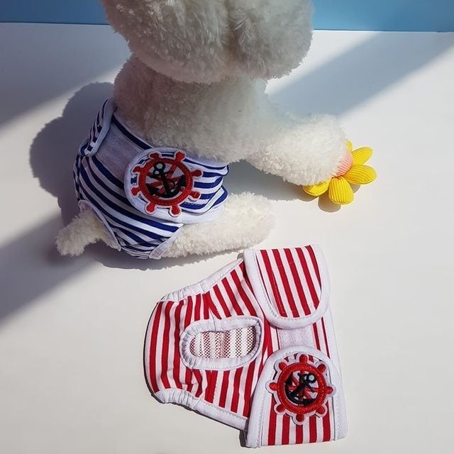 강아지 생리팬티 찍찍이 위생팬티 기저귀 암컷 L