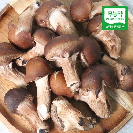 [생산자직송] 충북 박대선님의 무농약 참송이 버섯 1kg(중품)