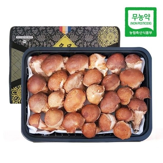 [생산자직송] 충북 박대선님의 무농약 VIP 참송이 버섯 선물세트