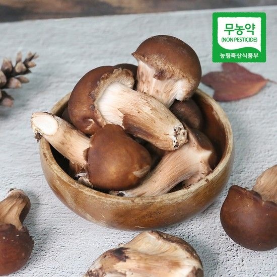 [생산자직송] 충북 박대선님의 무농약 참송이 버섯 500g(상품)