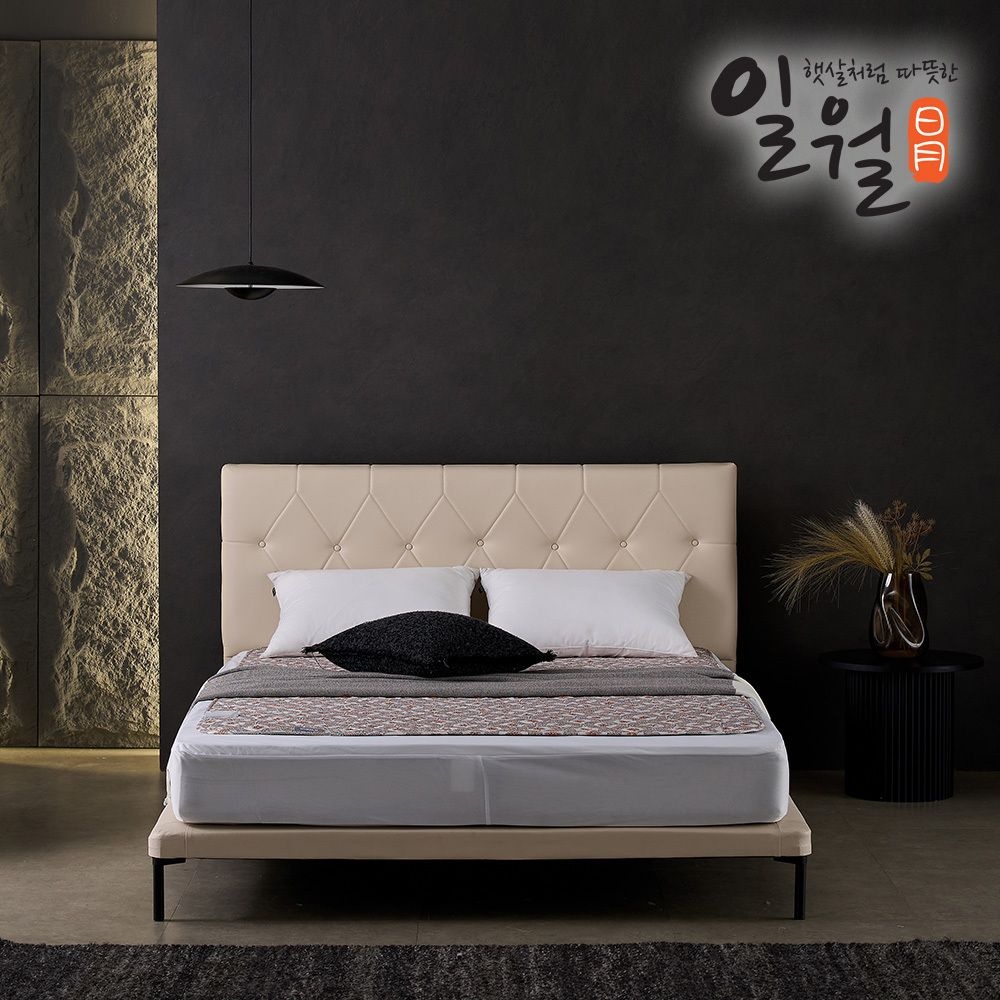 일월 [일월] NEW 알러크린 먼지없는 초절전형 워셔블 전기매트 / 온열매트 더블