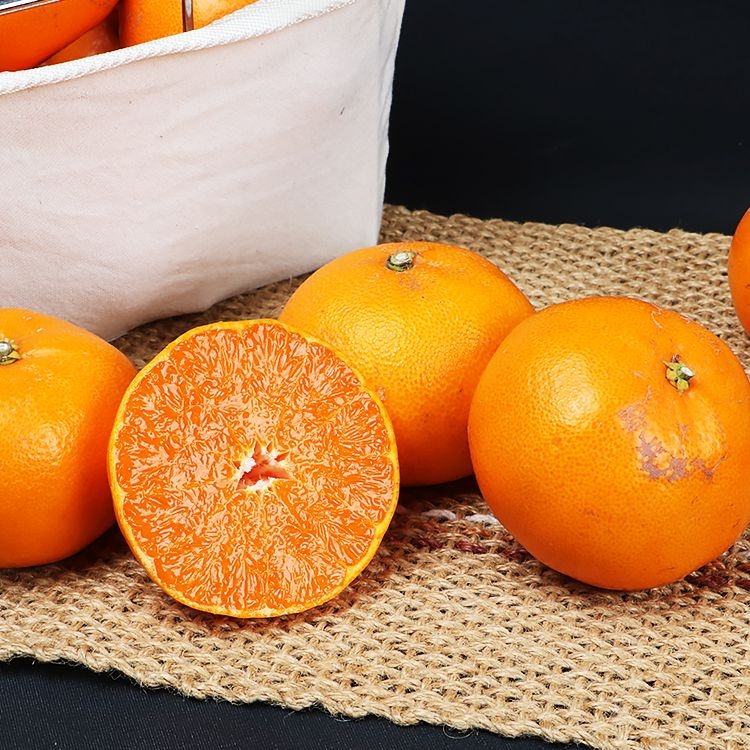 [롯데백화점] 제주푸드마씸 현가원 서귀포 못난이 천혜향 10kg (실속형 혼합과) LE1213759504