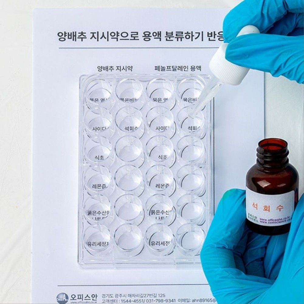 PH실험 양배추 지시약 24홈판 용액분류세트 초등학교 고등학교