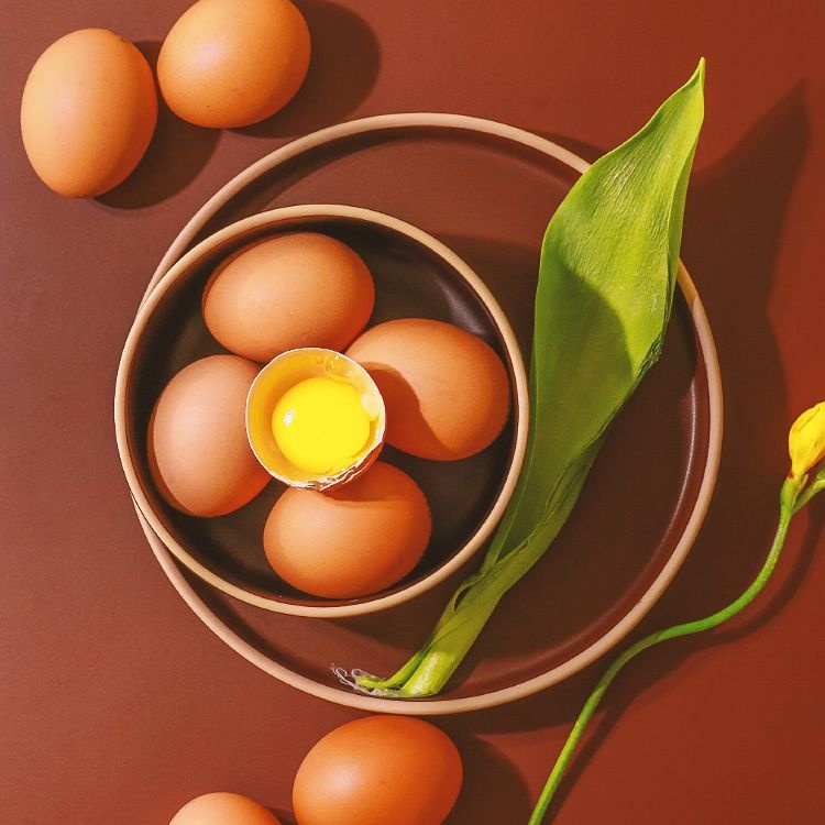 [롯데온] 난각번호 1번 방사 유정란 40구 (17,000원/무료)