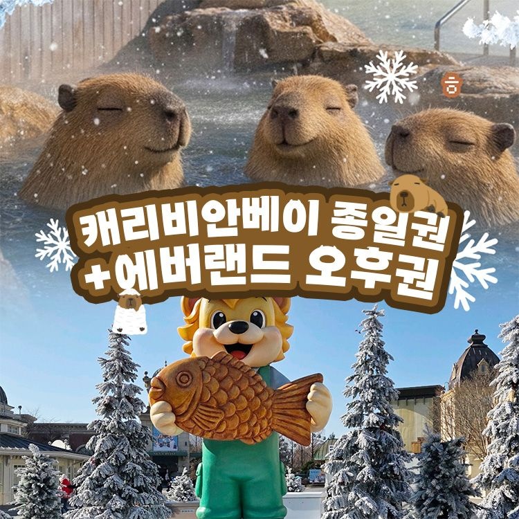 용인 캐리비안베이 종일권 + 에버랜드 오후 입장권