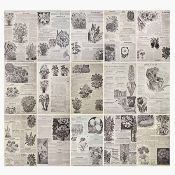 카페인테리어소품 빈티지오브제 배경지 초목 (KYR-WFKGTGD)