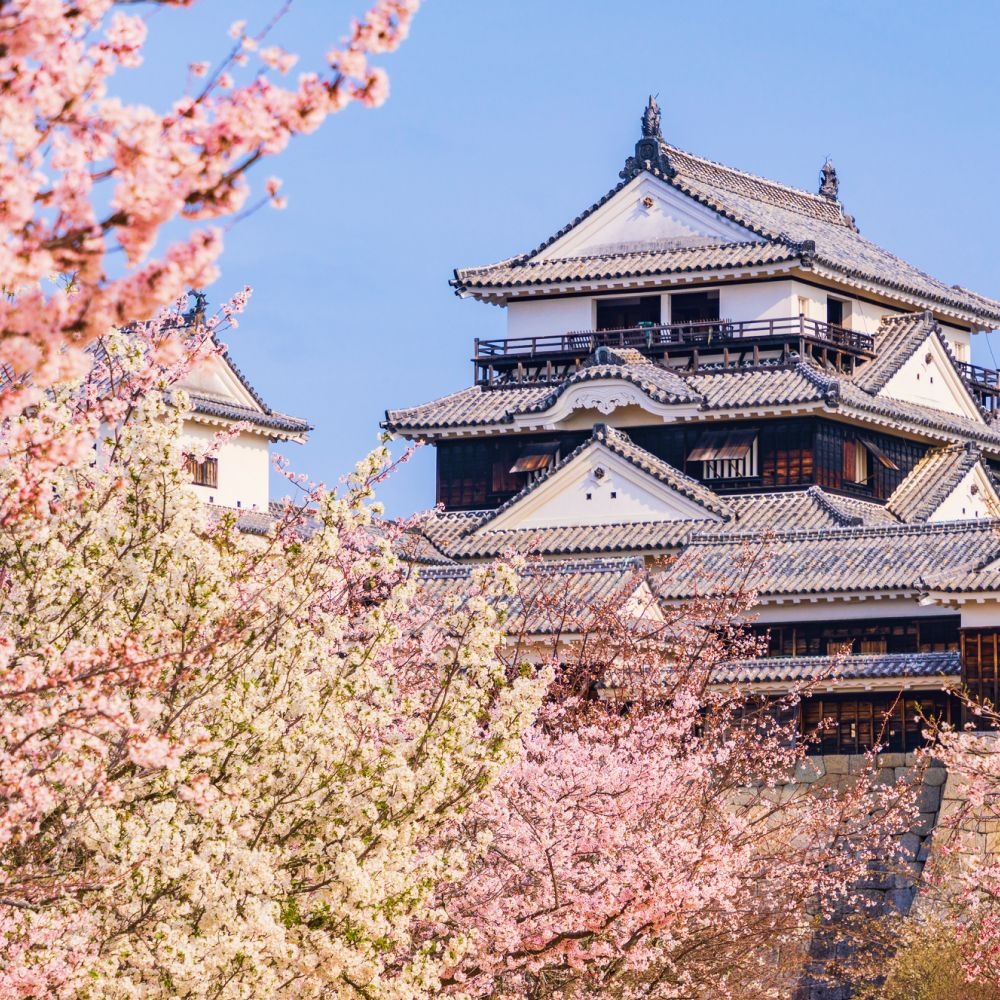 마츠야마 자유여행 3일