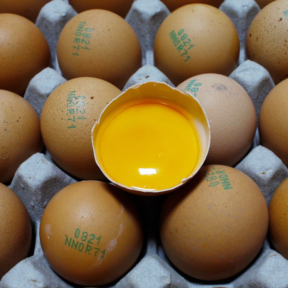 난각번호 1번 무항생제 유정란 대란 40구