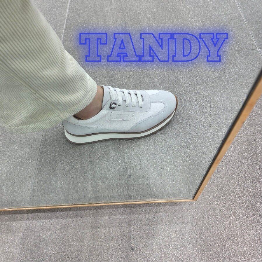탠디 탠디 [모다아울렛][탠디]남성 스니커즈 Y2G5HA033_SH 시흥점