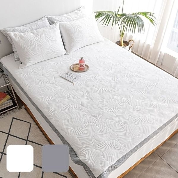 고품질 비죤 냉감 밴딩 침대패드 Q 2컬러 대구공장침대패드 공장침대패드 국산침대패드 WFI1T5N