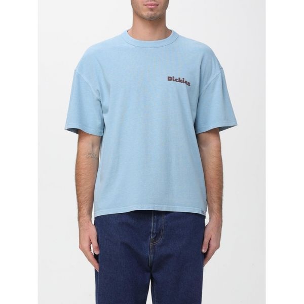 DICKIES DICKIES 디키즈 FW25 반팔 티셔츠 DK0A87QR K661 6967281 230291