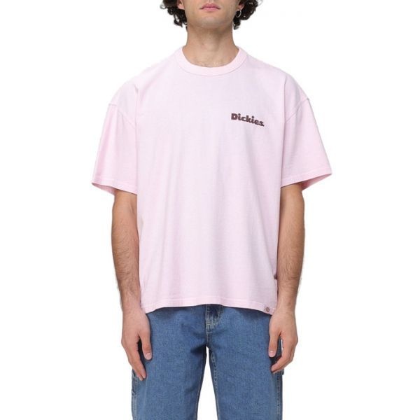 DICKIES DICKIES 디키즈 FW25 반팔 티셔츠 DK0A87QR K731 6715550 230300