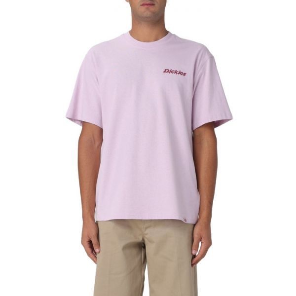 DICKIES DICKIES 디키즈 FW25 반팔 티셔츠 DK0A87QP K731 6715549 230301