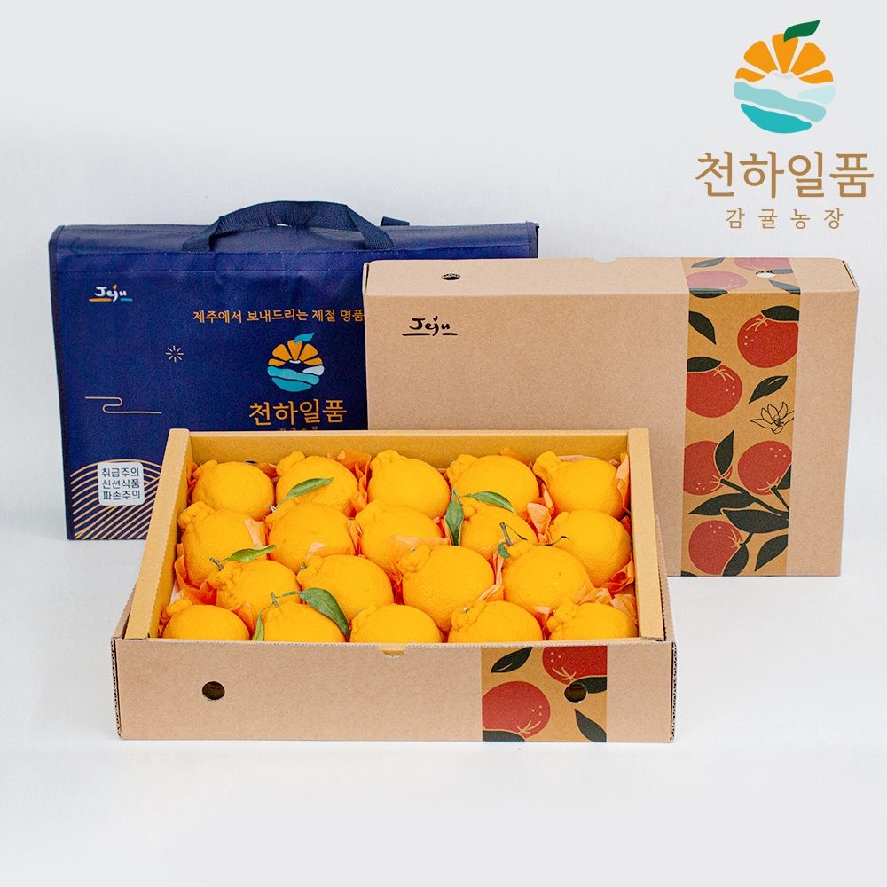 하우스 한라봉 선물세트 2.5kg 중대과(10-14과)