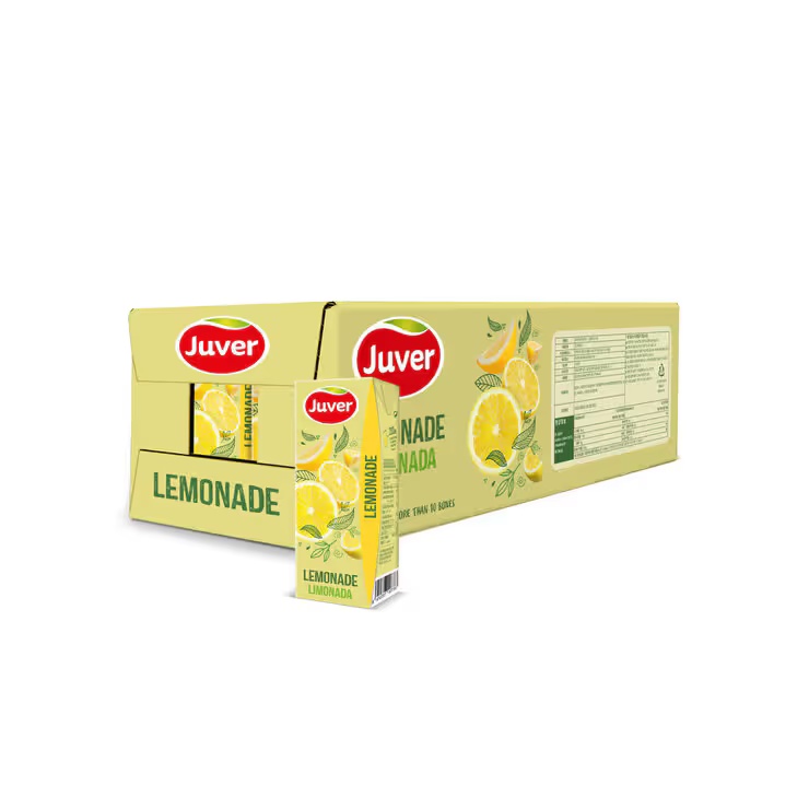 [비타민 충전] 후버 레몬에이드 주스 200ml x 30팩 HBNB