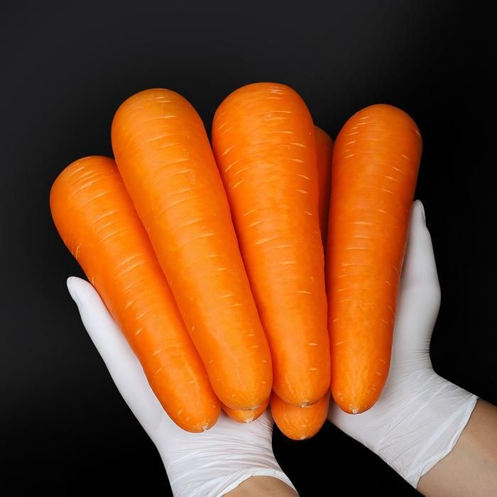 [신선하랑]아삭 달큰 수입 세척 당근 10kg (2L)