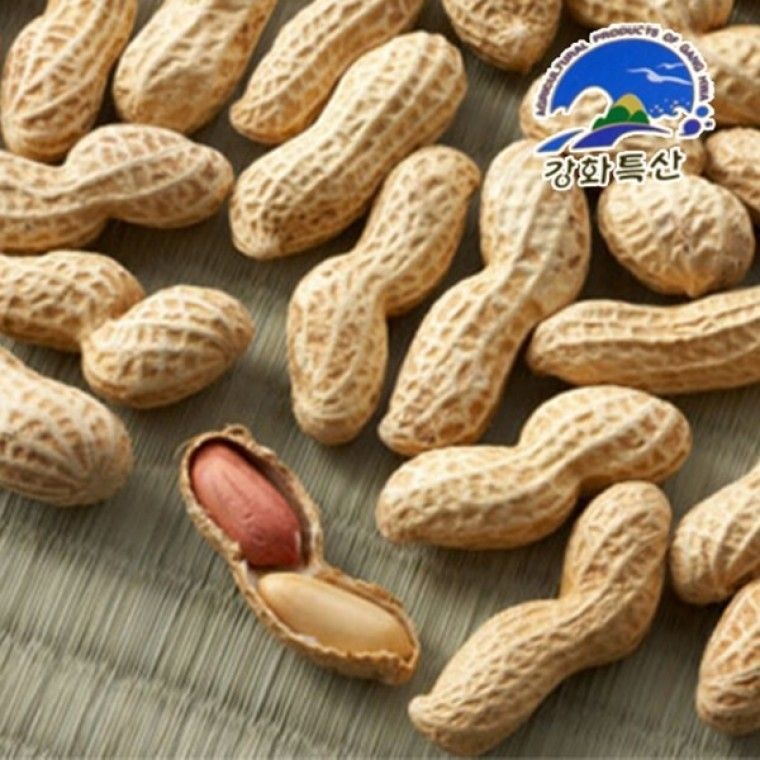 산지직송 강화도 햇 생땅콩(피땅콩) 1kg 싹나는 생땅콩